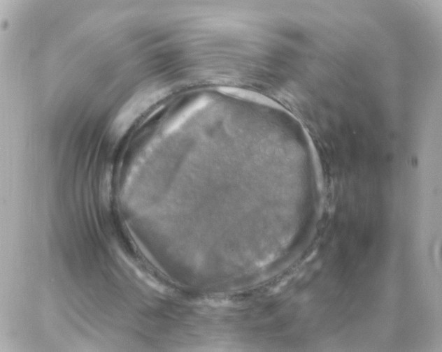 X0000087710194200706011818