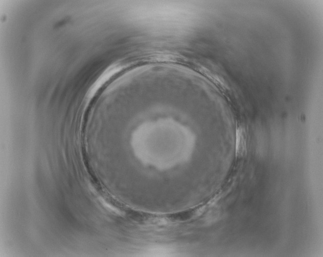 X0000087710195200706011818