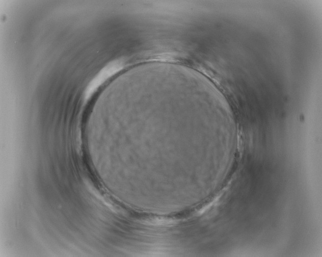 X0000087710198200706011818