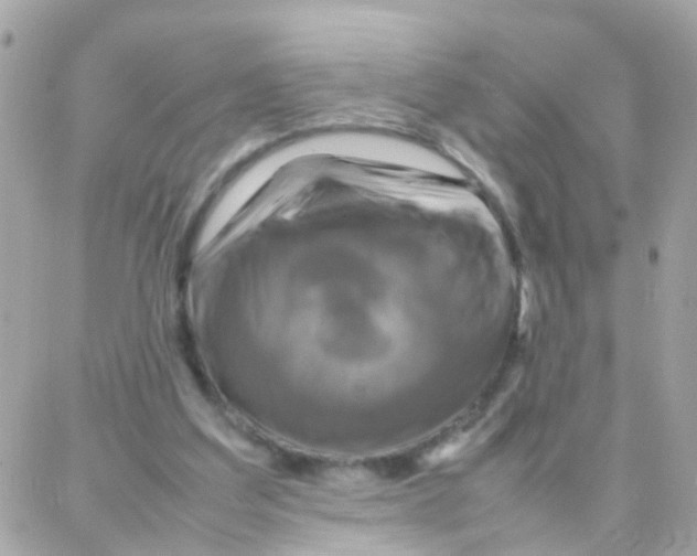 X0000087710203200706011818