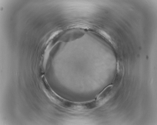 X0000087710205200706011818