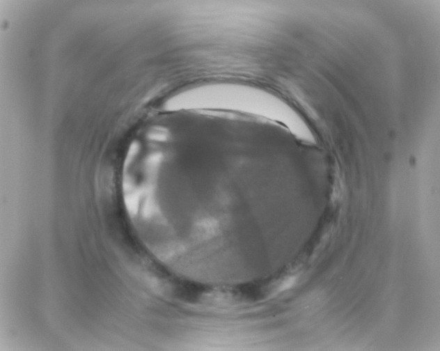 X0000087710211200706011818