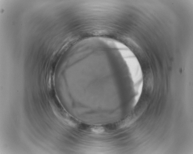 X0000087710214200706011818