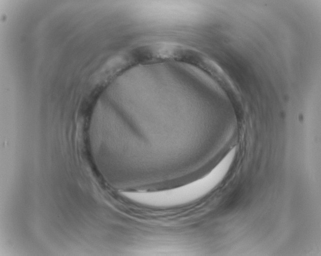 X0000087710217200706011818