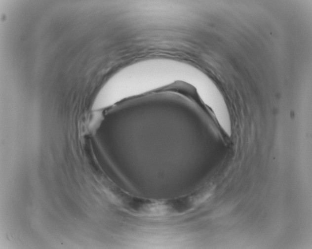 X0000087710219200706011818