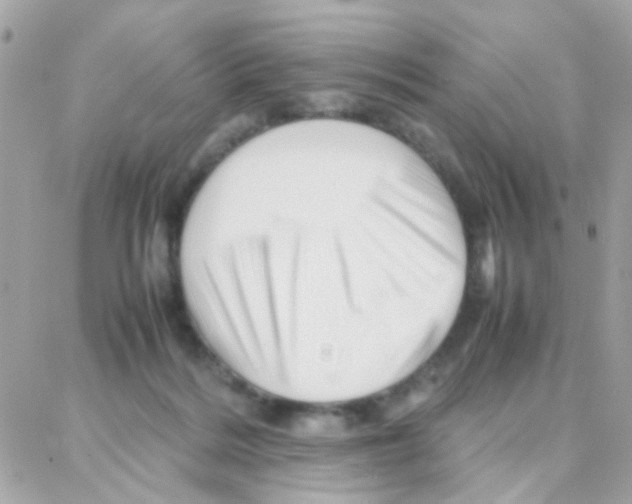 X0000087710220200706011818