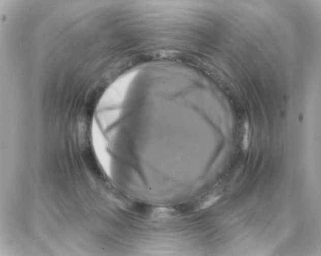 X0000087710222200706011818