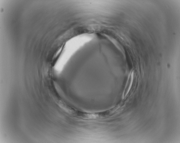 X0000087710233200706011817