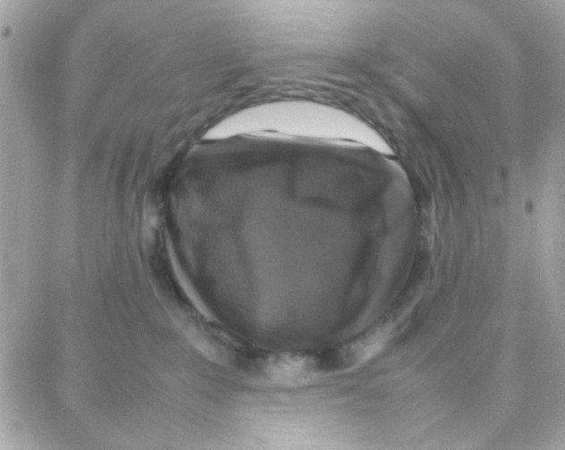 X0000087710235200706011817