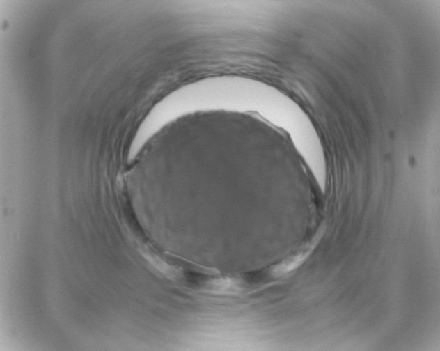 X0000087710237200706011817