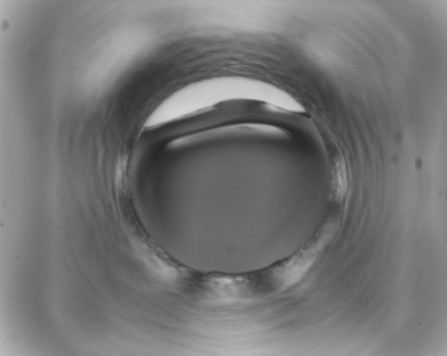 X0000087710239200706011817