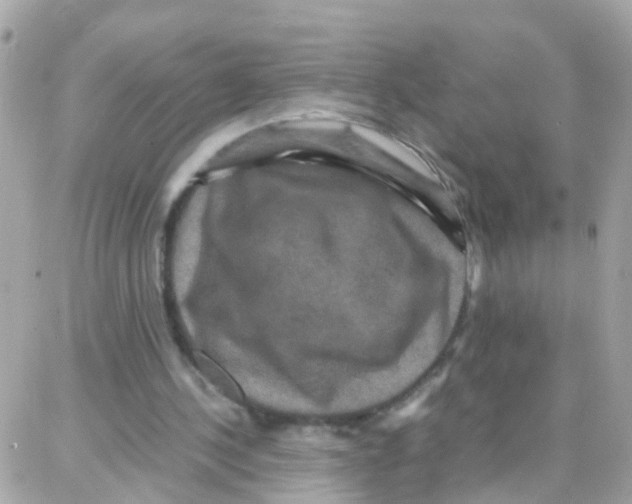 X0000087710244200706011817
