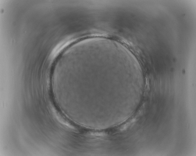 X0000087710247200706011817