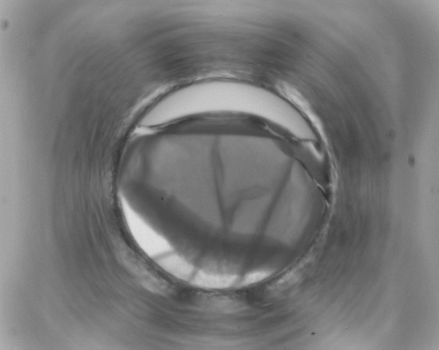 X0000087710249200706011817