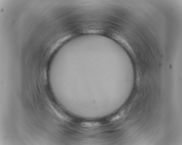 X0000087710251200706011817