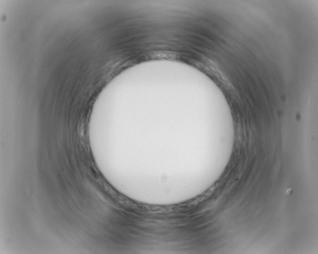X0000087710259200706011817