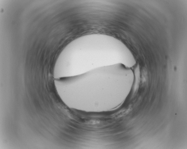 X0000087710276200706011817