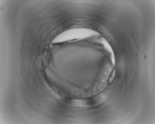 X0000087710277200706011817