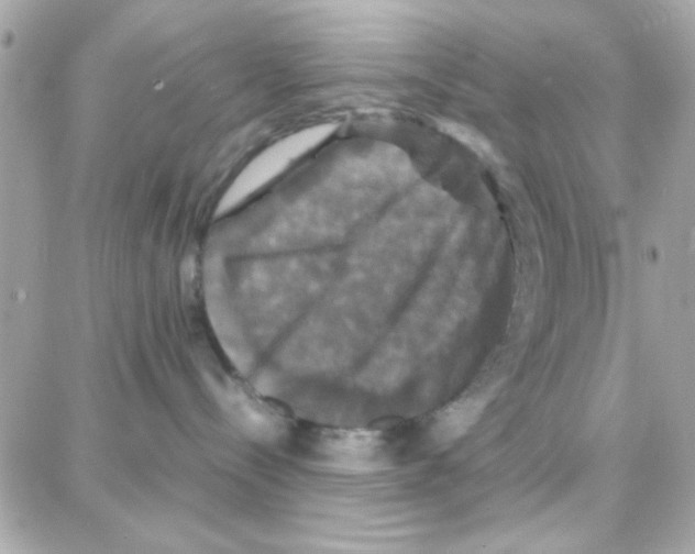 X0000087710288200706011817