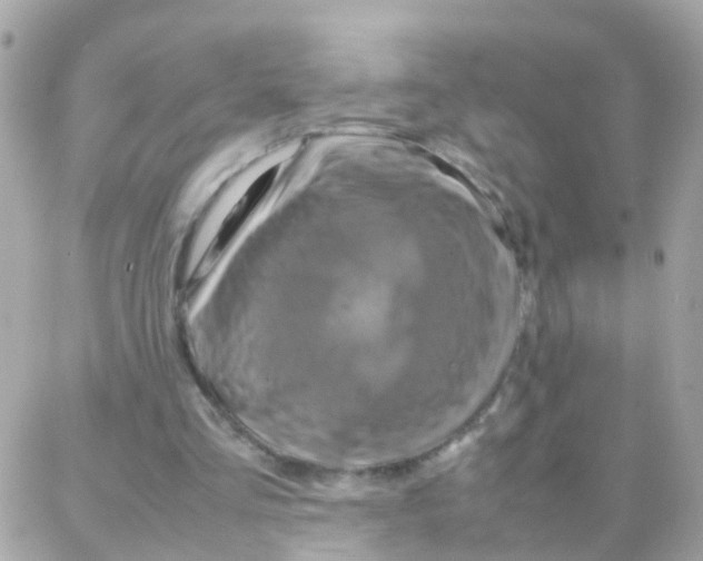 X0000087710293200706011817