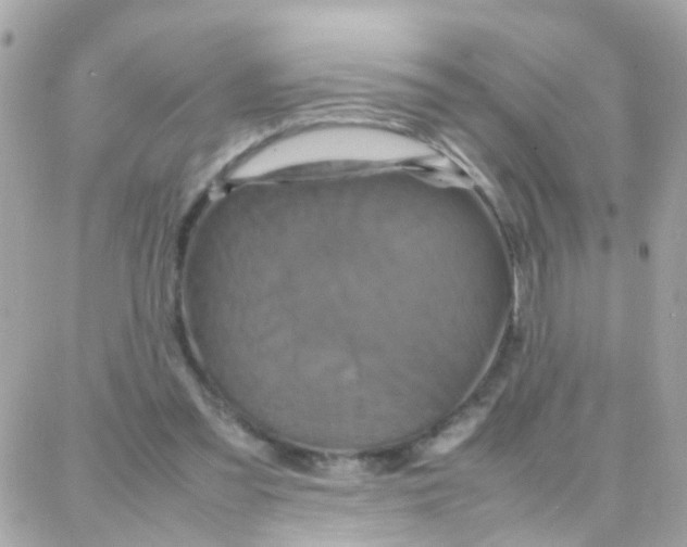 X0000087710301200706011816