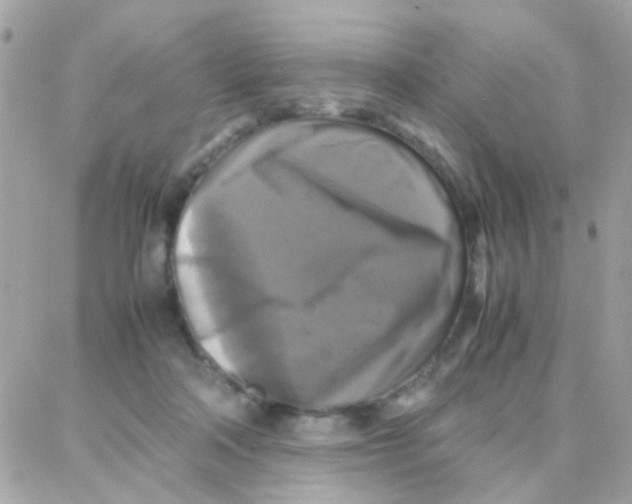 X0000087710314200706011816