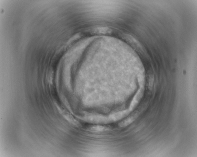 X0000087710326200706011816