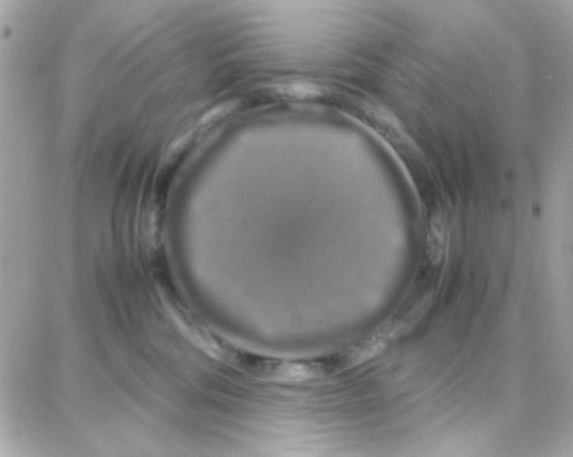 X0000087710330200706011816