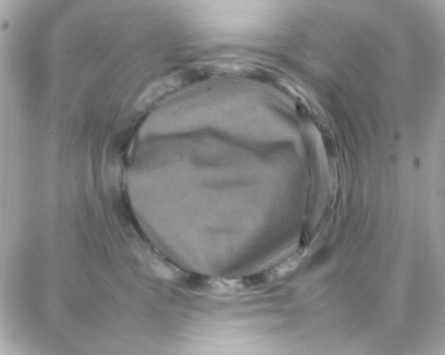 X0000087710333200706011816