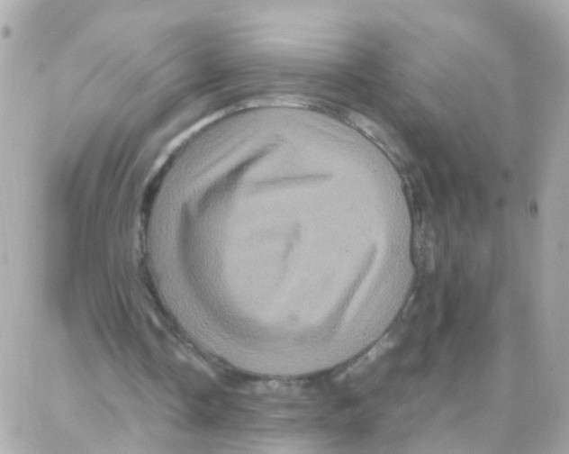 X0000087710338200706011815
