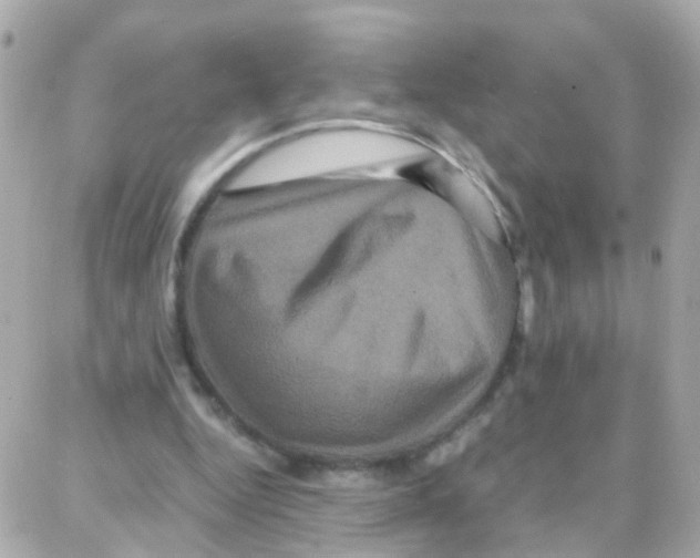 X0000087710344200706011815