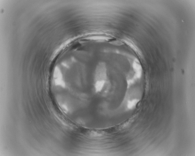 X0000087710346200706011815