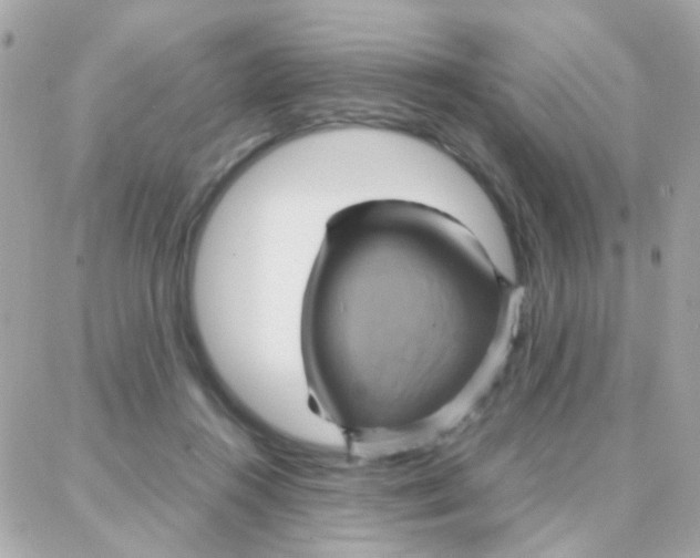 X0000087710360200706011815