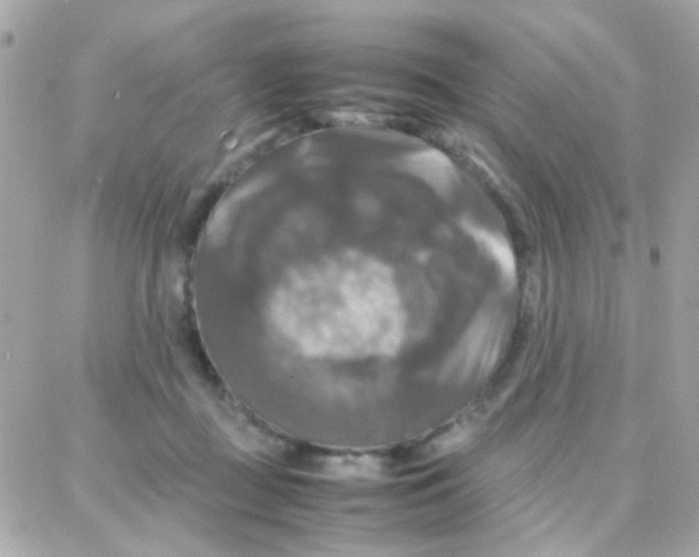 X0000087710363200706011815