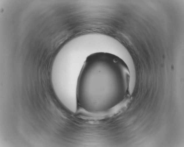 X0000087710364200706011815