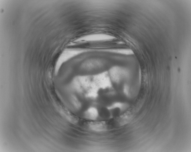 X0000087710373200706011816