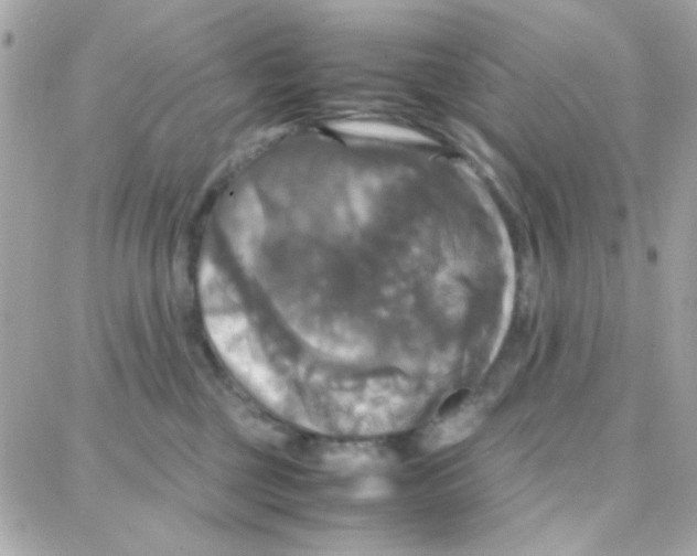 X0000087710377200706011816