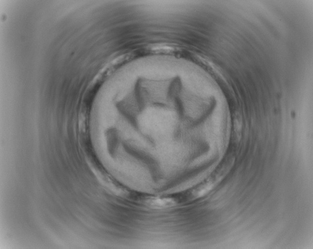 X0000087710379200706011816