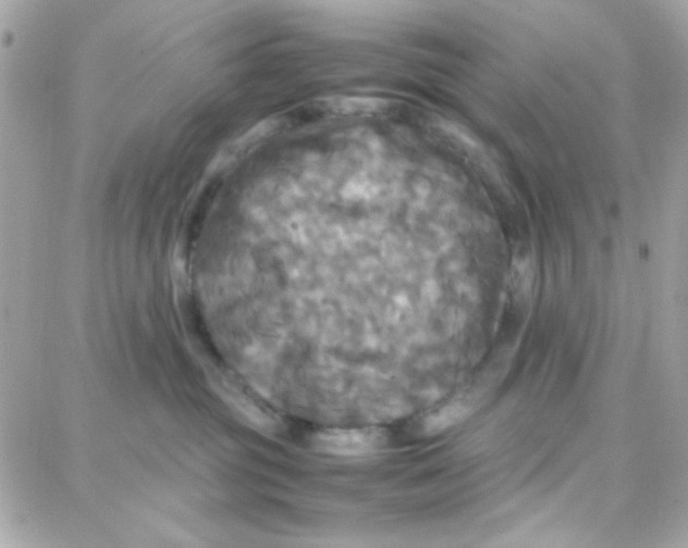 X0000087710381200706011816