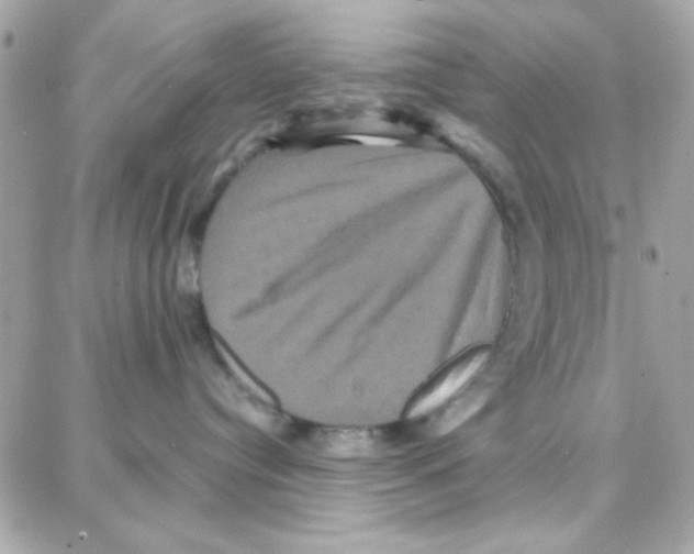 X0000087710384200706011816
