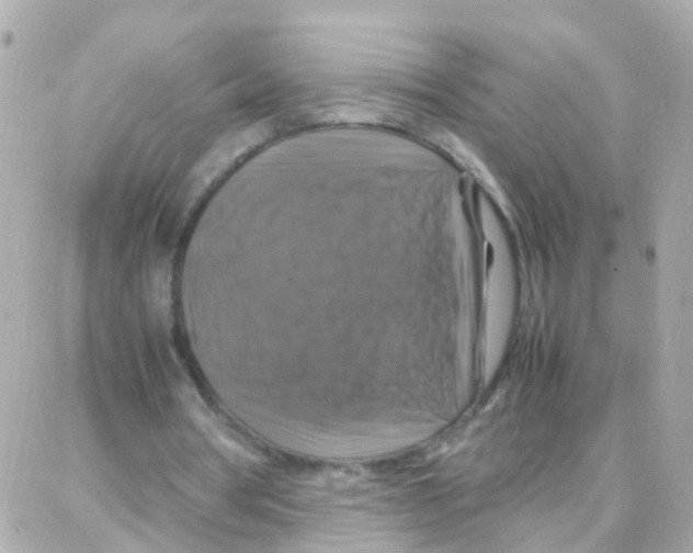 X0000087710386200706011815