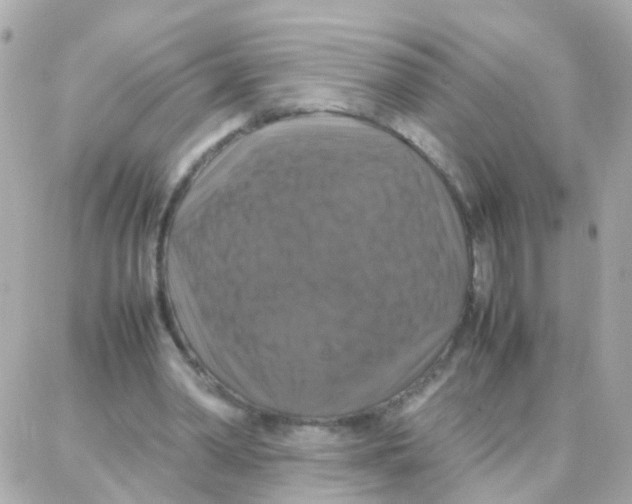 X0000087710390200706011815