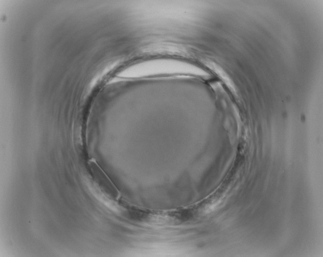 X0000087710399200706011815