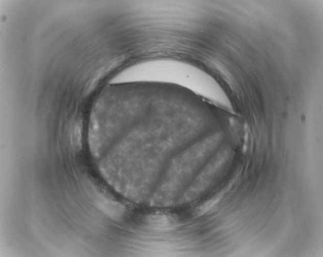 X0000087710404200706011815