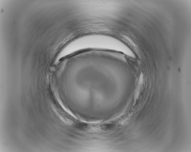 X0000087710405200706011815