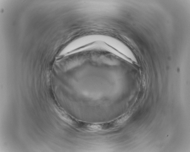 X0000087710409200706011815