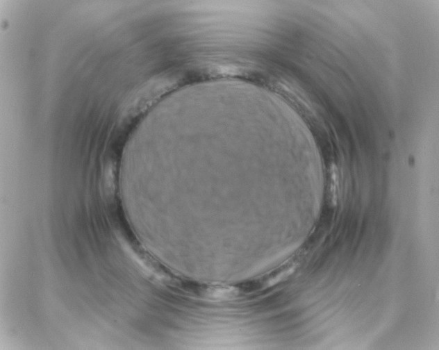 X0000087710410200706011815