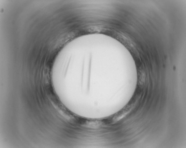 X0000087710414200706011815