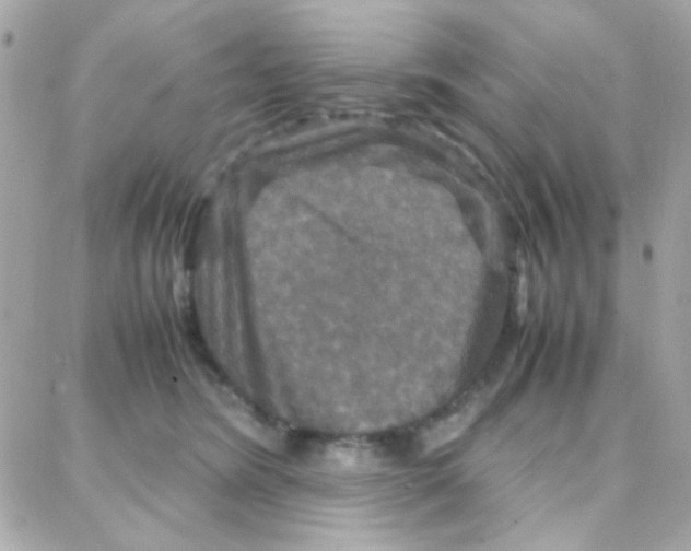 X0000087710420200706011814