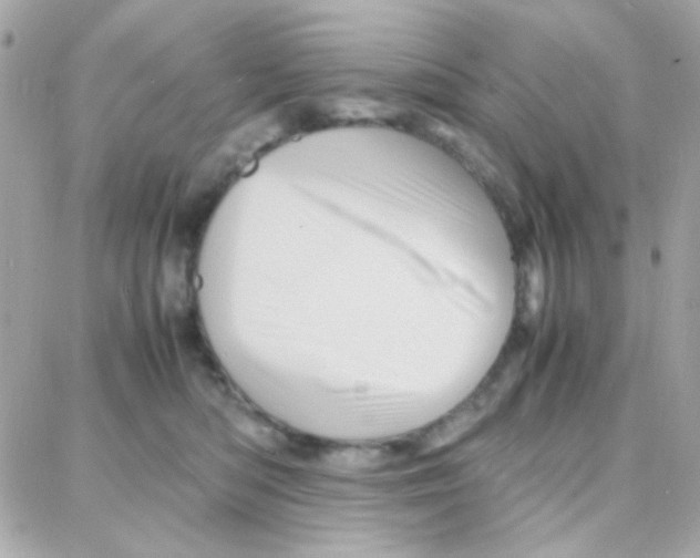 X0000087710422200706011814